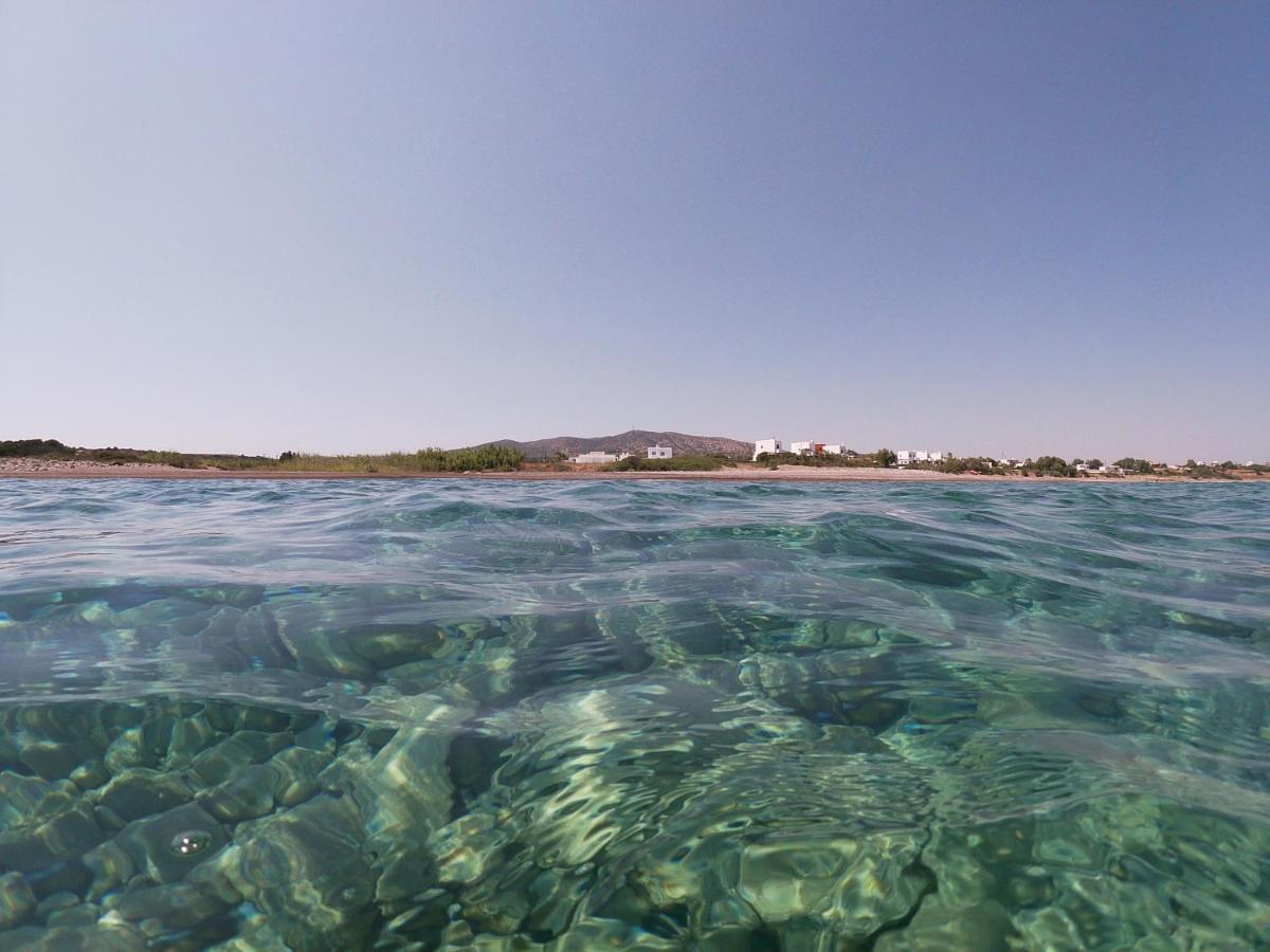 Seashore Beachfront Villa Lakhania Dış mekan fotoğraf